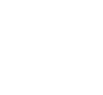 ABCF - American Breast Cancer Foundation Logo